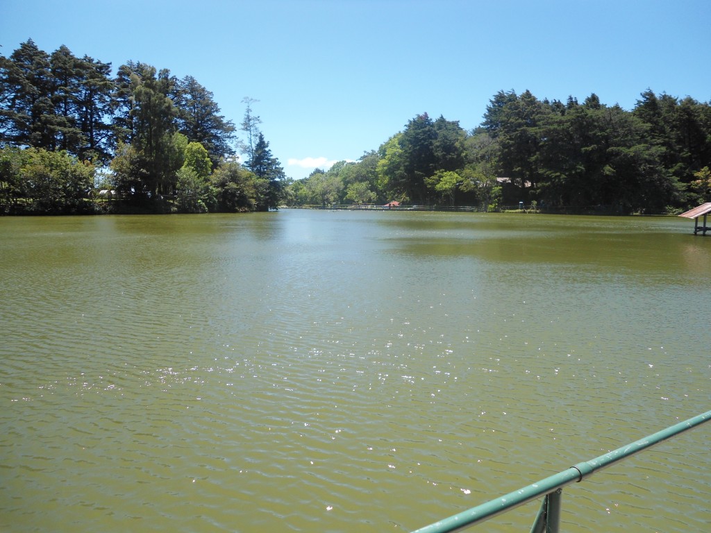 Foto: LAGUNA DE FRAIJANES (Fraijanes De San Isidro De Alajuela) - Fraijanes (Alajuela), Costa Rica