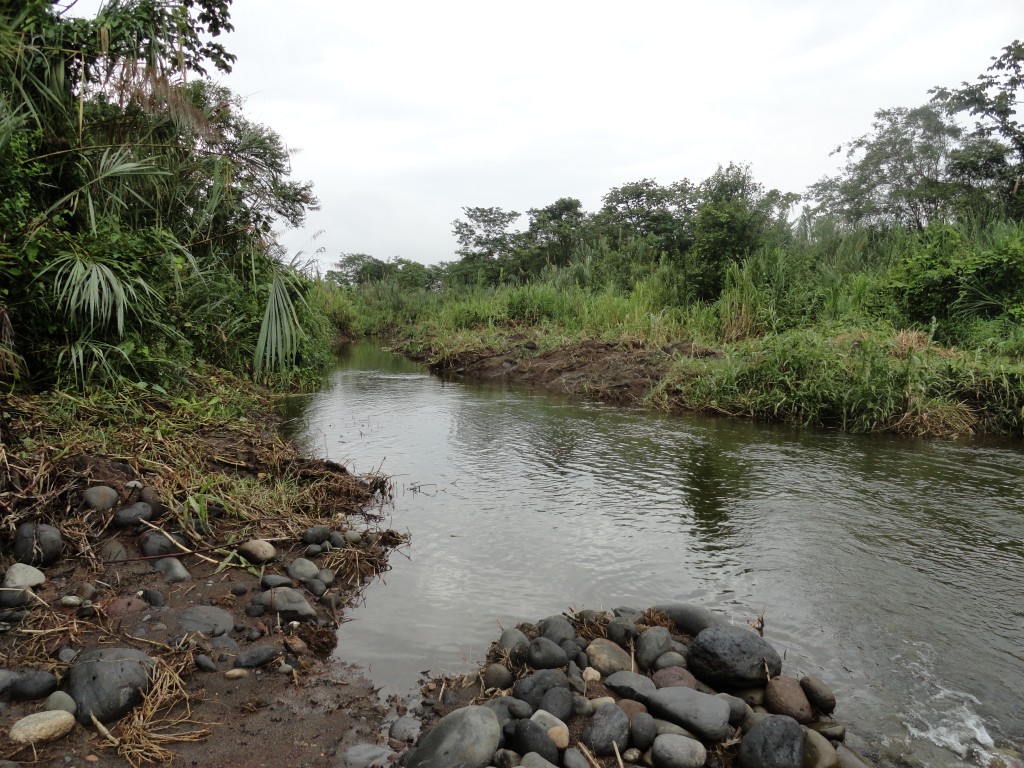 Foto: Estero Encausado - Pastaza, Ecuador