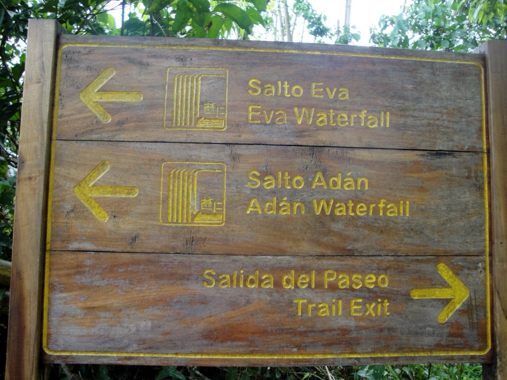 Foto: Circuito Superior - Puerto Iguazú (Misiones), Argentina