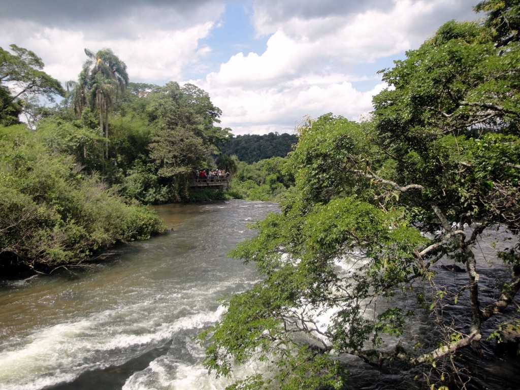 Foto: Circuito Superior - Puerto Iguazú (Misiones), Argentina