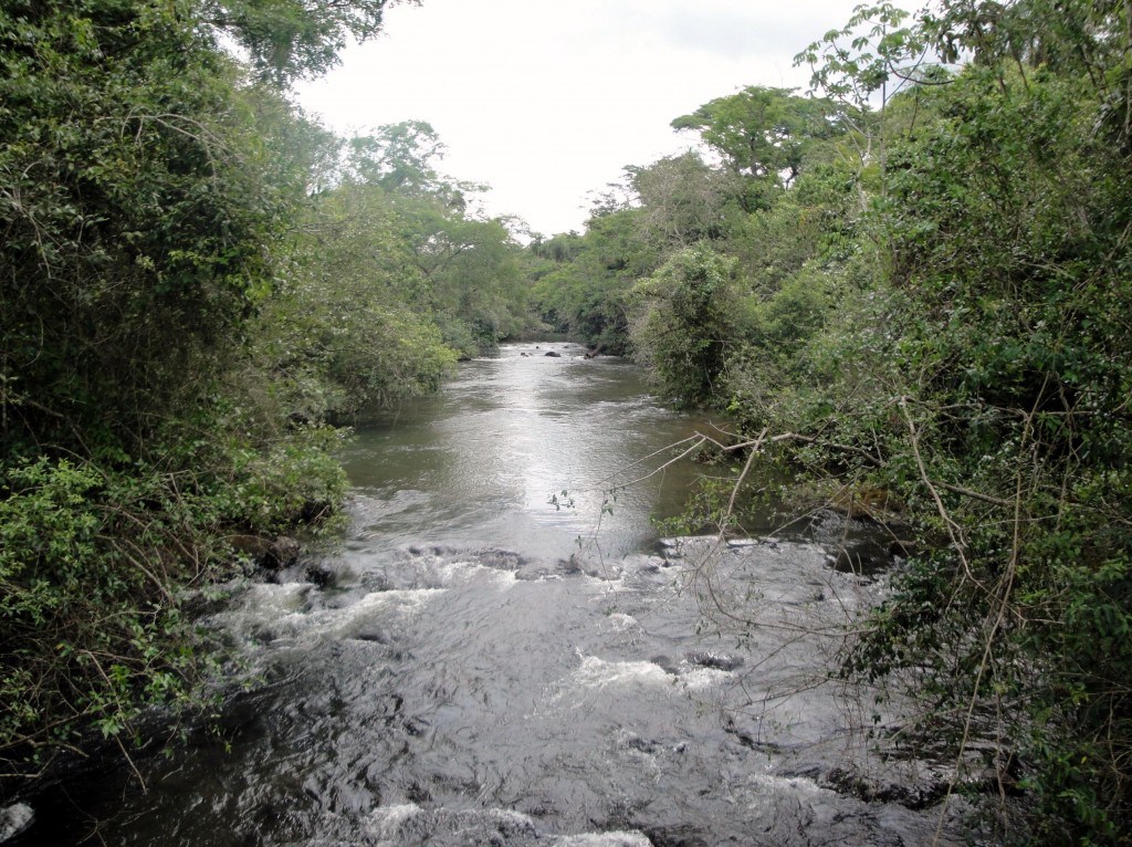 Foto: Circuito Superior - Puerto Iguazú (Misiones), Argentina