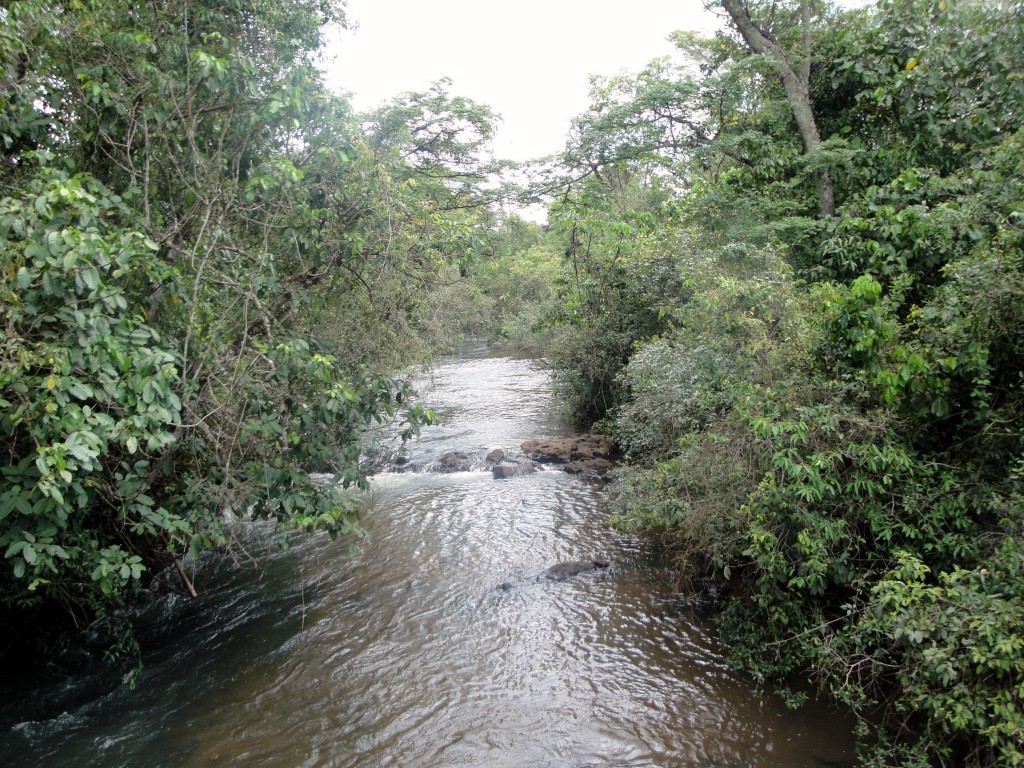 Foto: Circuito Superior - Puerto Iguazú (Misiones), Argentina
