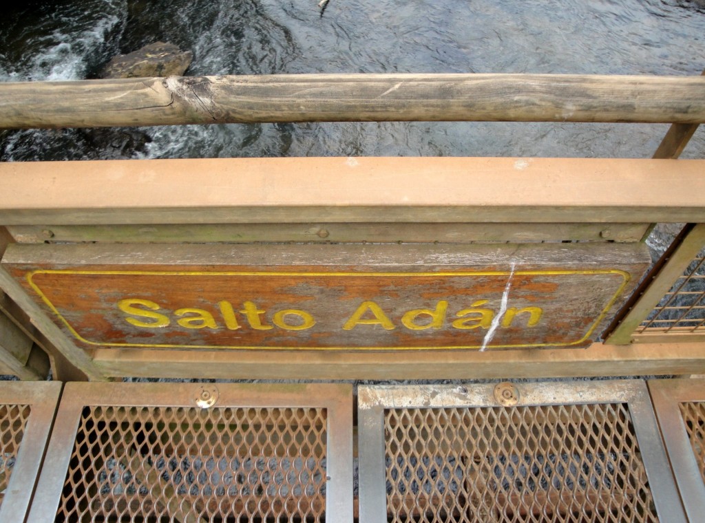 Foto: Circuito Superior - Puerto Iguazú (Misiones), Argentina