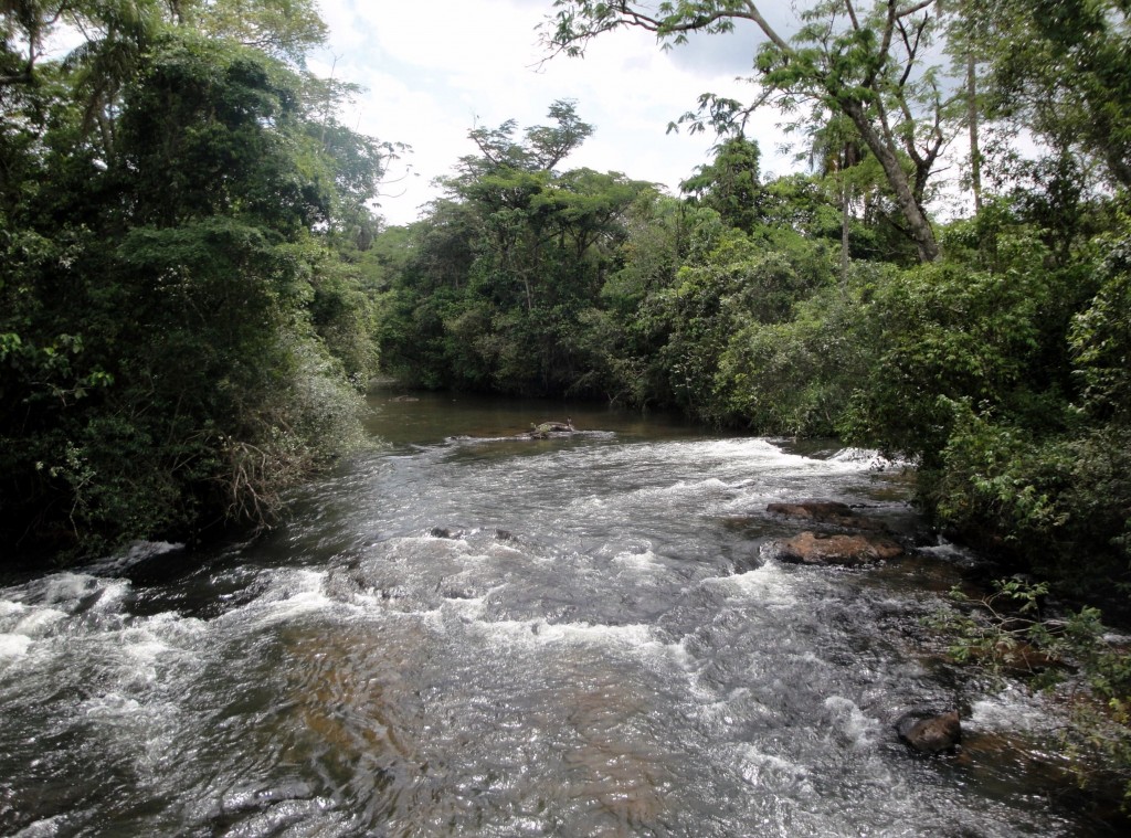 Foto: Circuito Superior - Puerto Iguazú (Misiones), Argentina