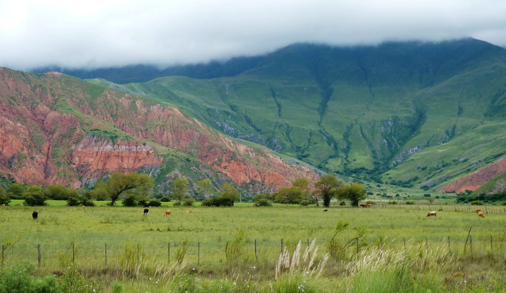 Foto: Quebrada de Humahuaca. - Tumbaya (Jujuy), Argentina