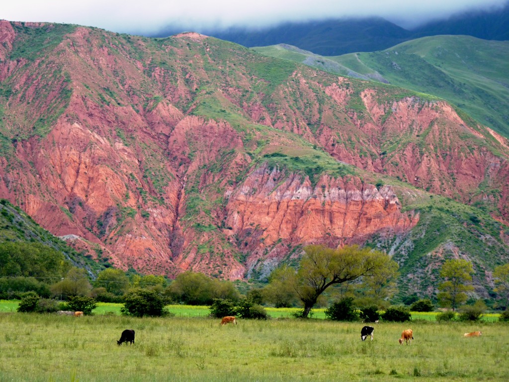 Foto: Quebrada de Humahuaca. - Tumbaya (Jujuy), Argentina