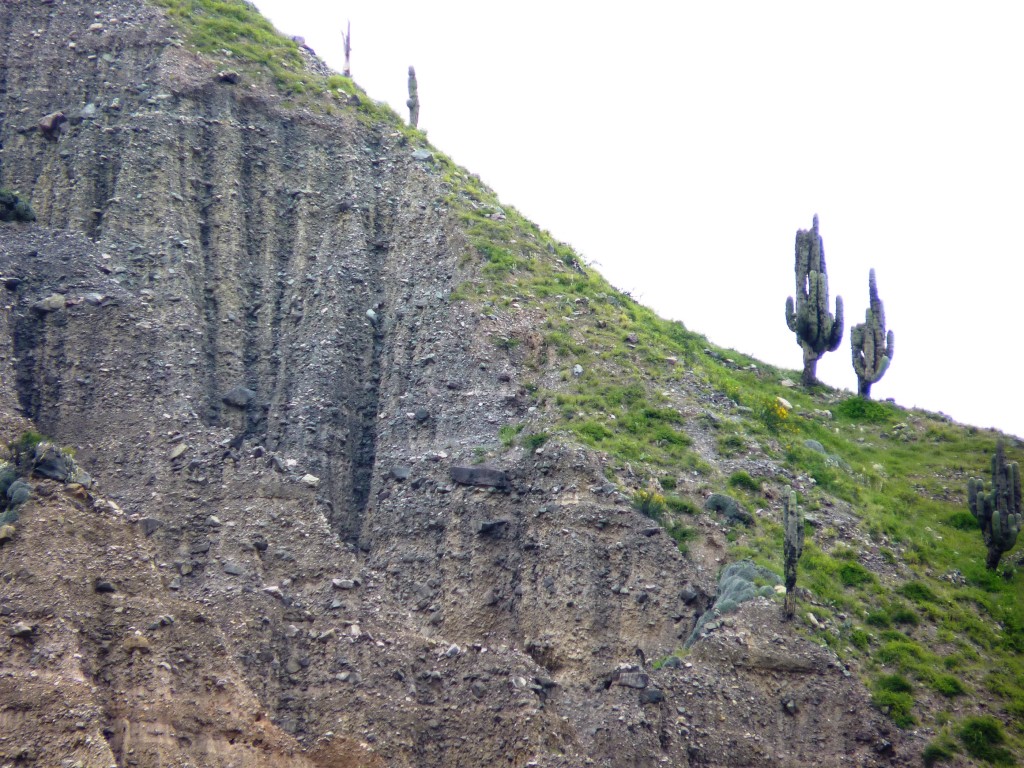 Foto: Quebrada de Humahuaca. - Tumbaya (Jujuy), Argentina