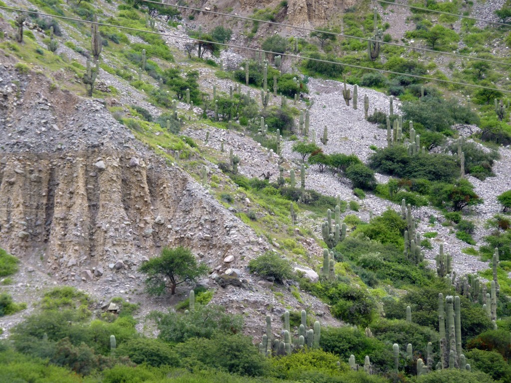 Foto: Quebrada de Humahuaca. - Tumbaya (Jujuy), Argentina