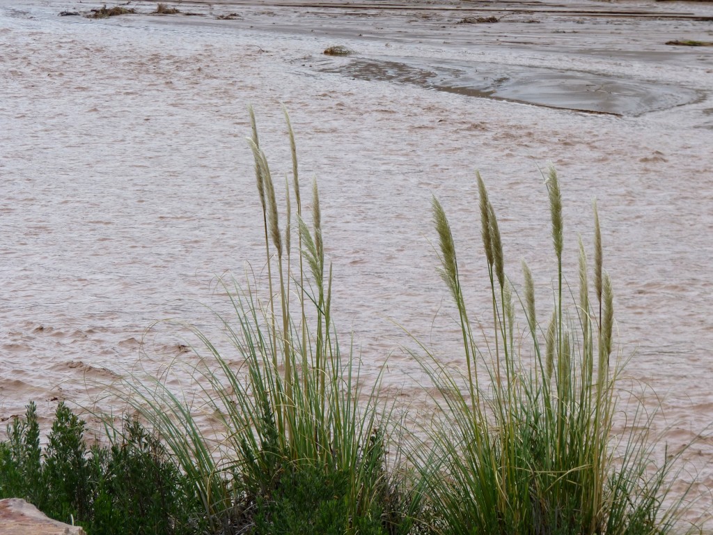 Foto: Quebrada de Humahuaca. - Tumbaya (Jujuy), Argentina