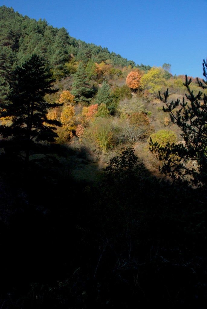 Foto de Martinet i Montellà (Lleida), España