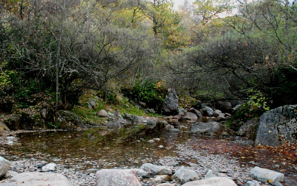 Foto de Martinet i Montellà (Lleida), España