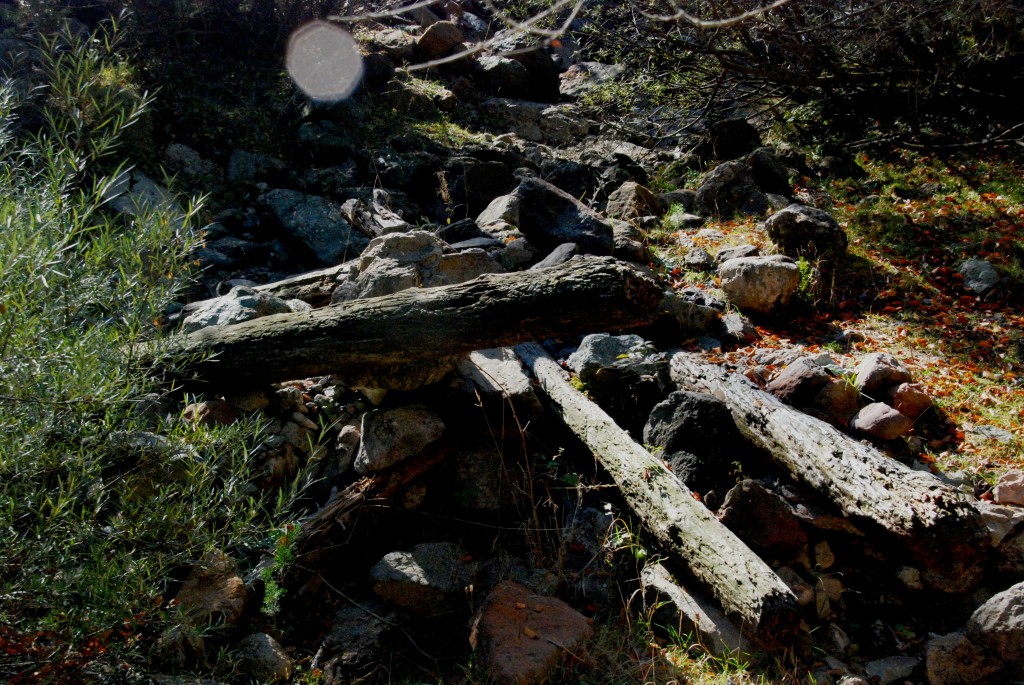 Foto de Martinet i Montellà (Lleida), España