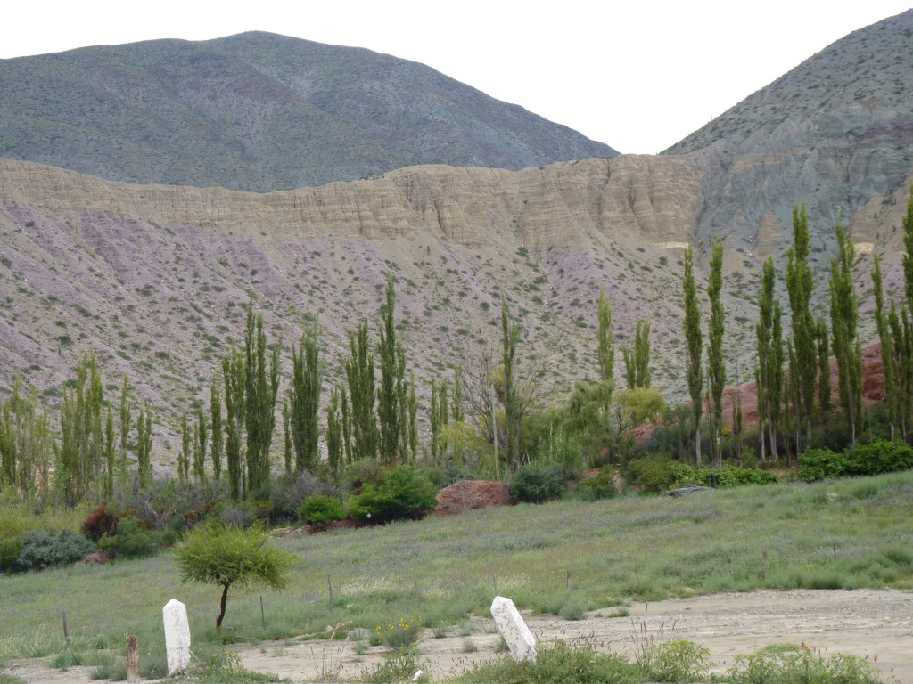 Foto: Cerro de los 7 colores. - Purmamarca (Jujuy), Argentina