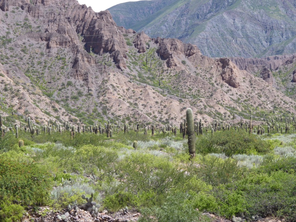 Foto de Purmamarca (Jujuy), Argentina
