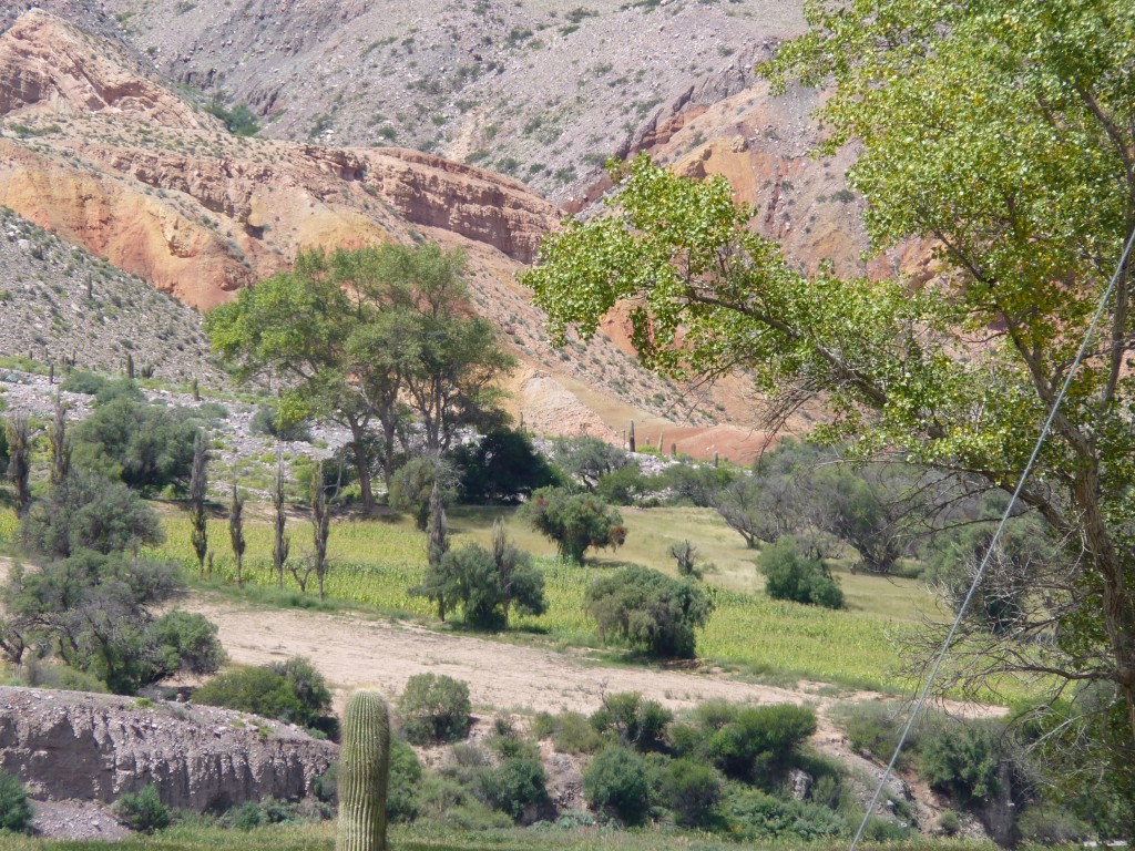 Foto de Purmamarca (Jujuy), Argentina