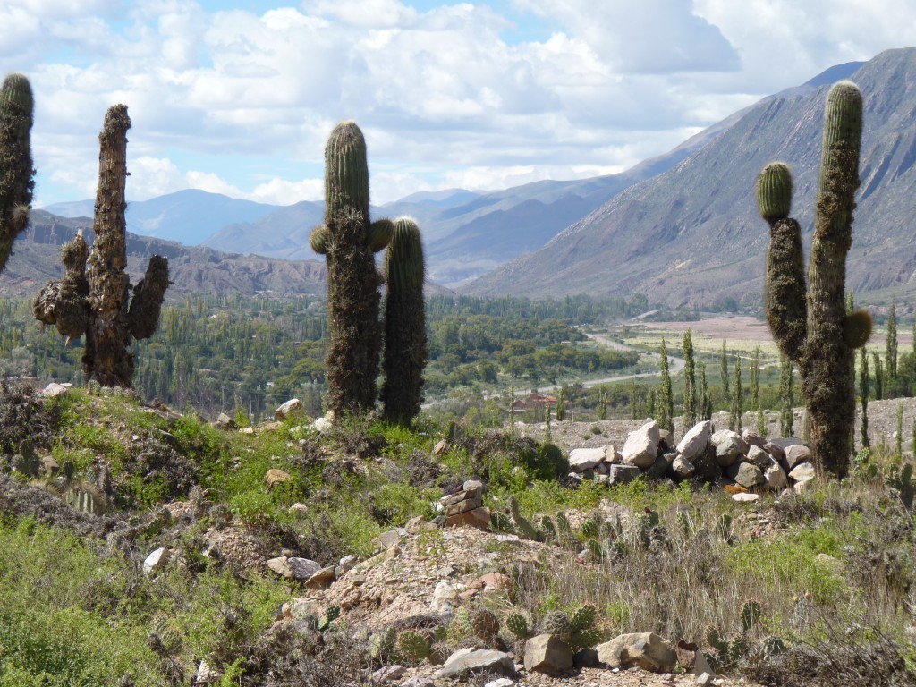 Foto: Pucará de Tilcara. - Tilcara (Jujuy), Argentina