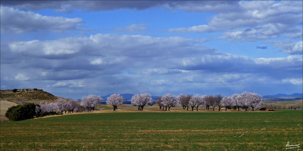 Foto: 120318-14 CABOLAFUENTE - Cabolafuente (Zaragoza), España