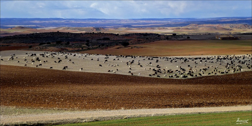 Foto: 120318-18 CABOLAFUENTE - Cabolafuente (Zaragoza), España