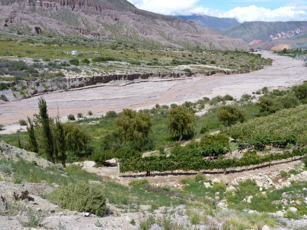 Foto de Cuesta de Lipán (Jujuy), Argentina