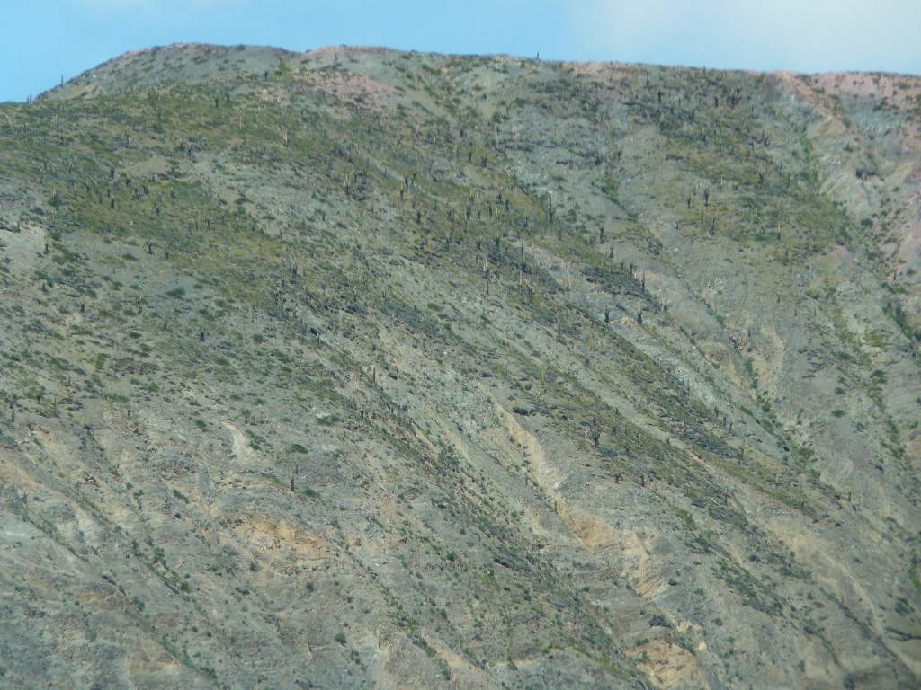 Foto de Cuesta de Lipán (Jujuy), Argentina