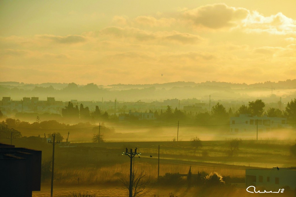 Foto: Brumas - Ibiza (Illes Balears), España