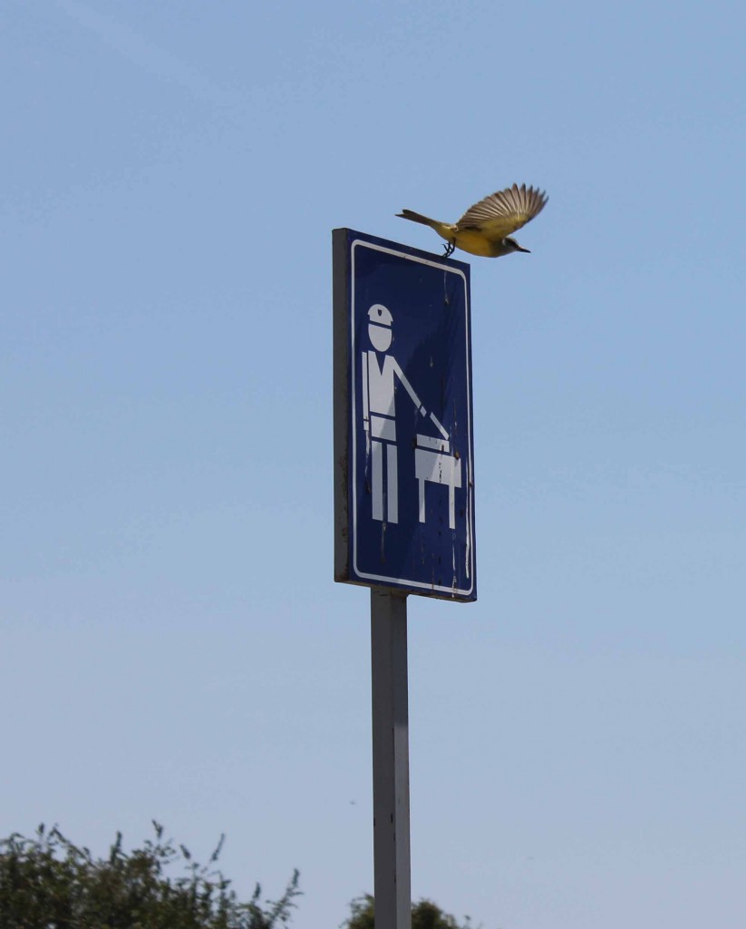 Foto de Tapachula (Chiapas), México