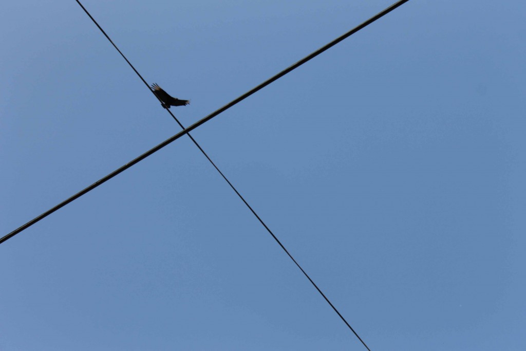 Foto de Tapachula (Chiapas), México
