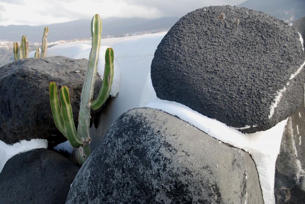 Foto de Puerto la Cruz (Santa Cruz de Tenerife), España