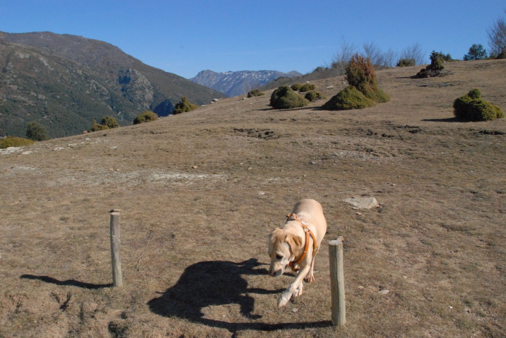 Foto de El Brull (Barcelona), España