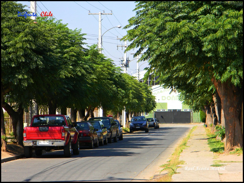Foto de Doñihue (Libertador General Bernardo OʼHiggins), Chile