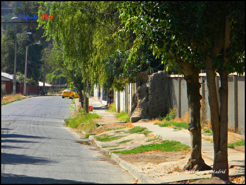 Foto de Doñihue (Libertador General Bernardo OʼHiggins), Chile
