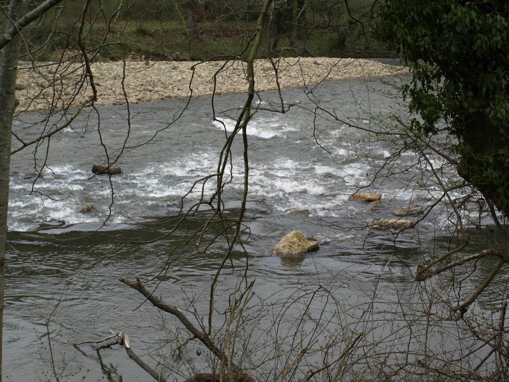 Foto: Río Nansa - Muñorrodero (Cantabria), España