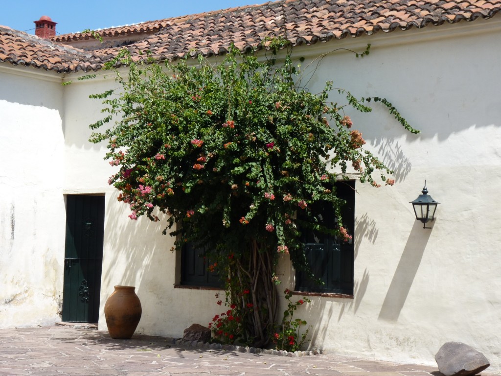 Foto: Cabildo - Salta, Argentina