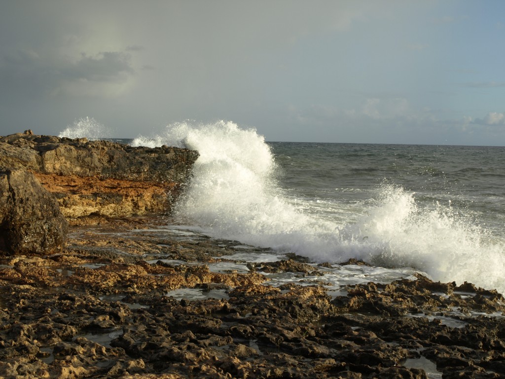 Foto: Olas contra la costa en Cap Ses Salines - Mallorca (Illes Balears), España