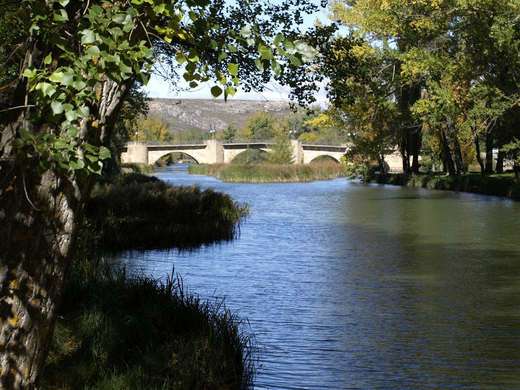 Foto: Río Duero - Soria (Castilla y León), España