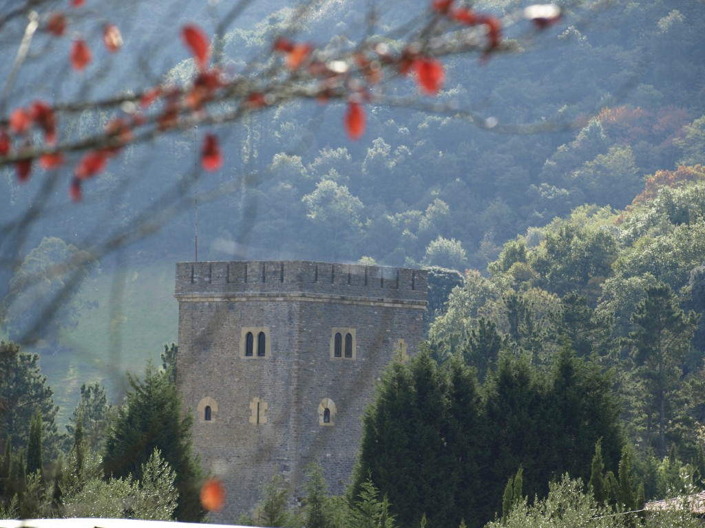 Foto: Torre de Loizaga - Galdames (Vizcaya), España
