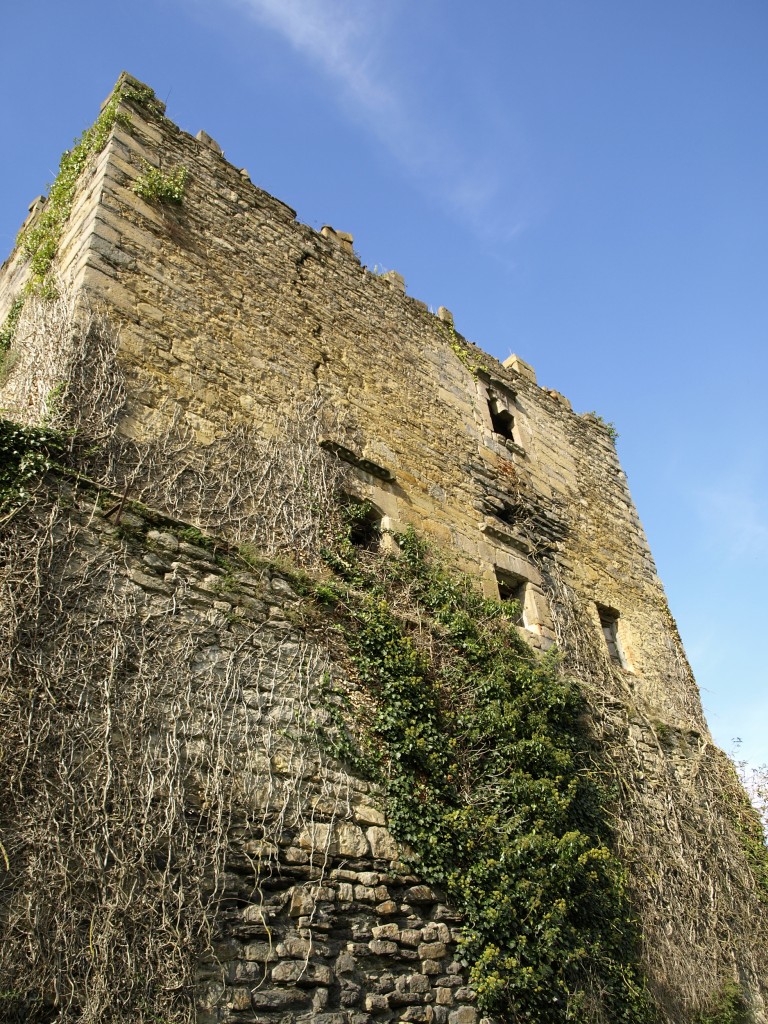 Foto: Torre de Urrutia - Sopuerta (Vizcaya), España