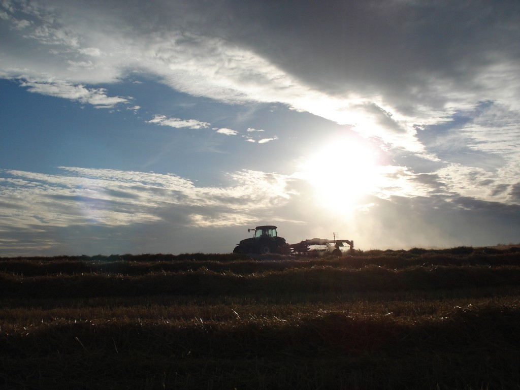 Foto: Tractor en la tarde - Cerezo de Río Tirón (Burgos), España