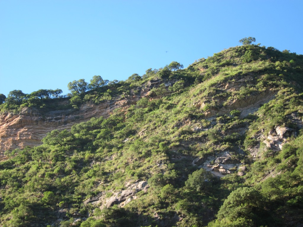 Foto: Camino a Cachi - Cachi (Salta), Argentina