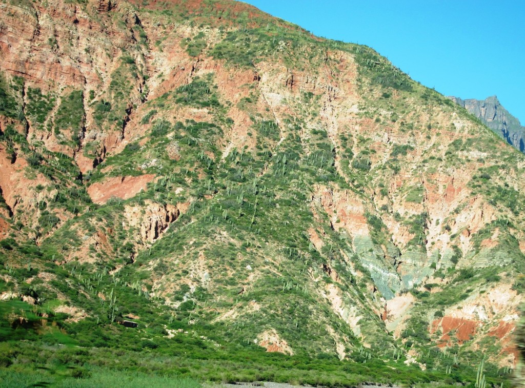 Foto: Camino a Cachi - Cachi (Salta), Argentina