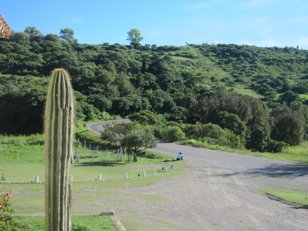Foto: Camino a Cachi - Cachi (Salta), Argentina