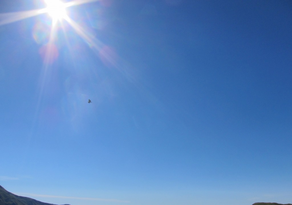 Foto: Cuesta del Obispo - Cachi (Salta), Argentina