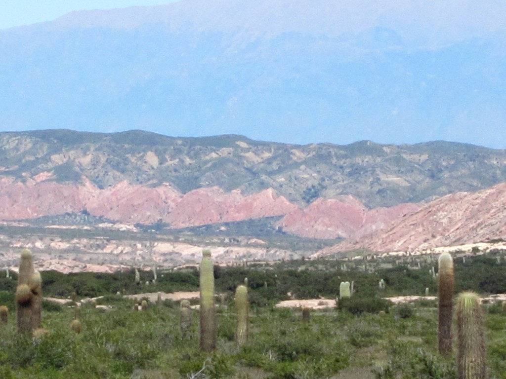 Foto: Parque Nacional Los Cardones - Cachi (Salta), Argentina