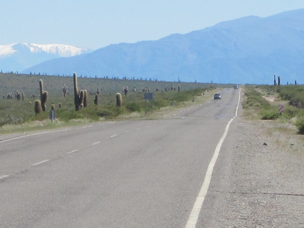 Foto: Recta del Tin Tin - Cachi (Salta), Argentina