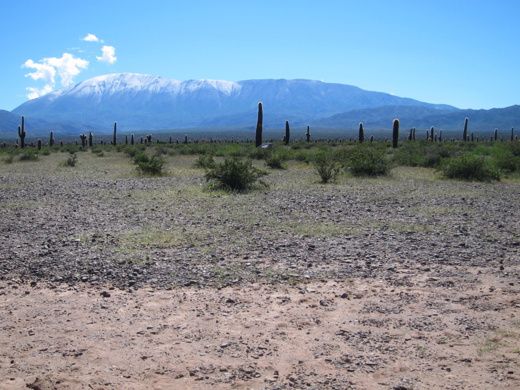 Foto: Parque Nacional Los Cardones - Cachi (Salta), Argentina