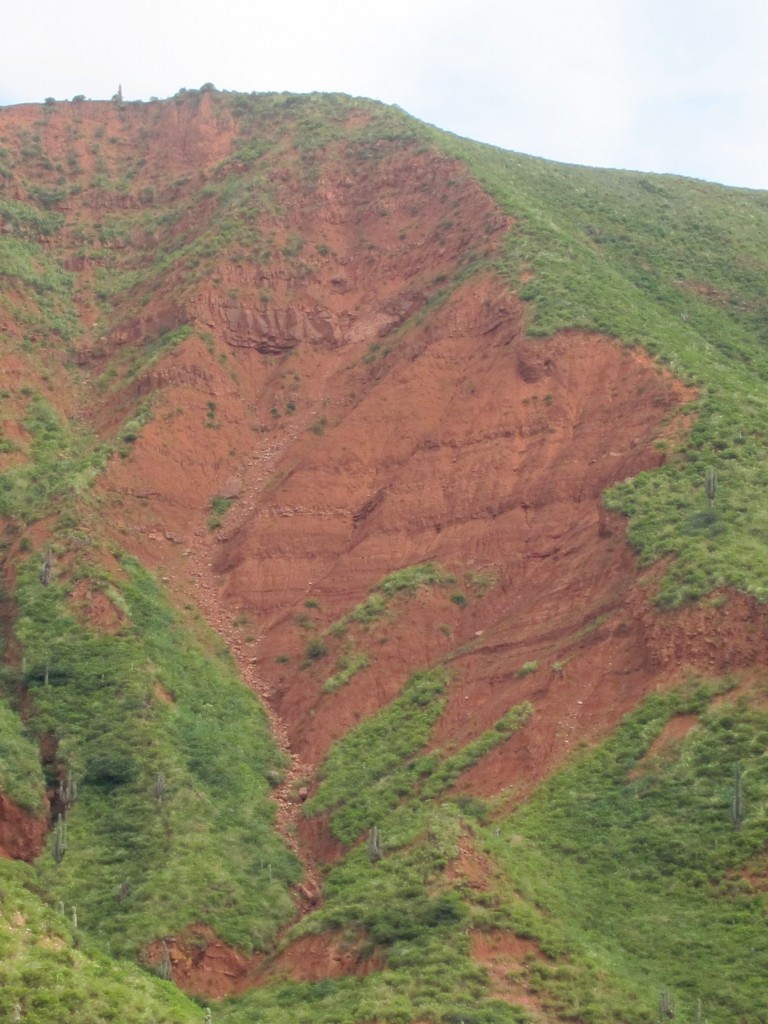Foto: Quebrada de Escoipe - Cachi (Salta), Argentina