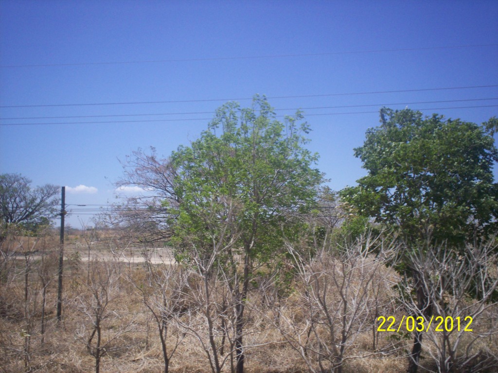 Foto de Liberia (Guanacaste), Costa Rica