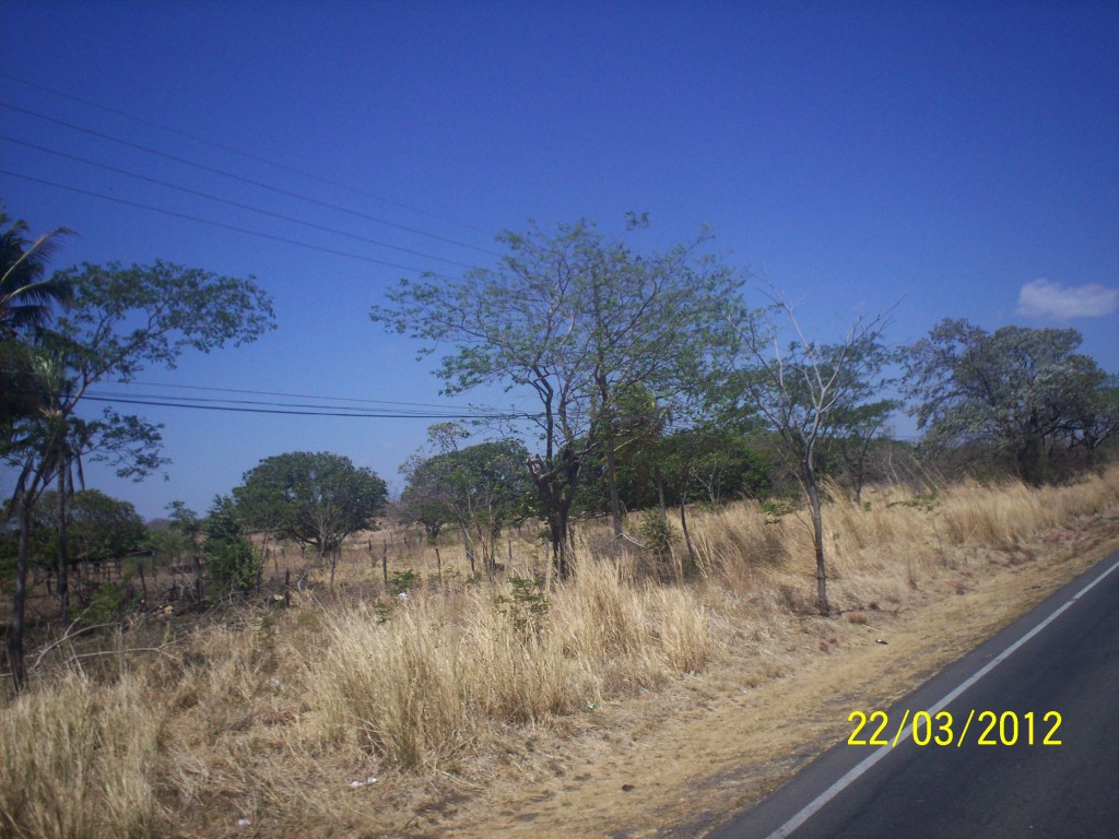 Foto de Liberia (Guanacaste), Costa Rica