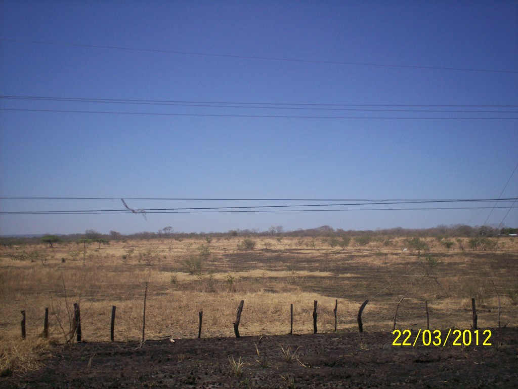 Foto de Liberia (Guanacaste), Costa Rica