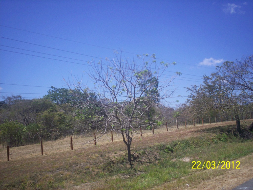 Foto de Liberia (Guanacaste), Costa Rica